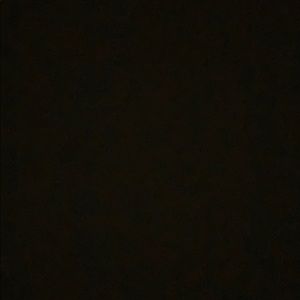 Meet your Posher, Rita